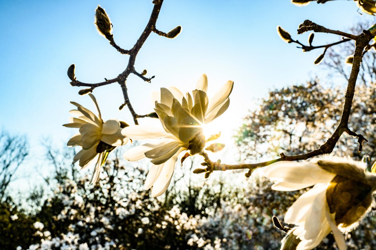 Warmer weather is here: tips to stay safe, healthy, and happy this spring