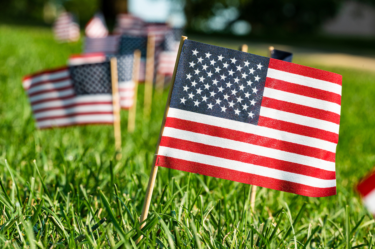 Celebrating our Badger veterans and service members