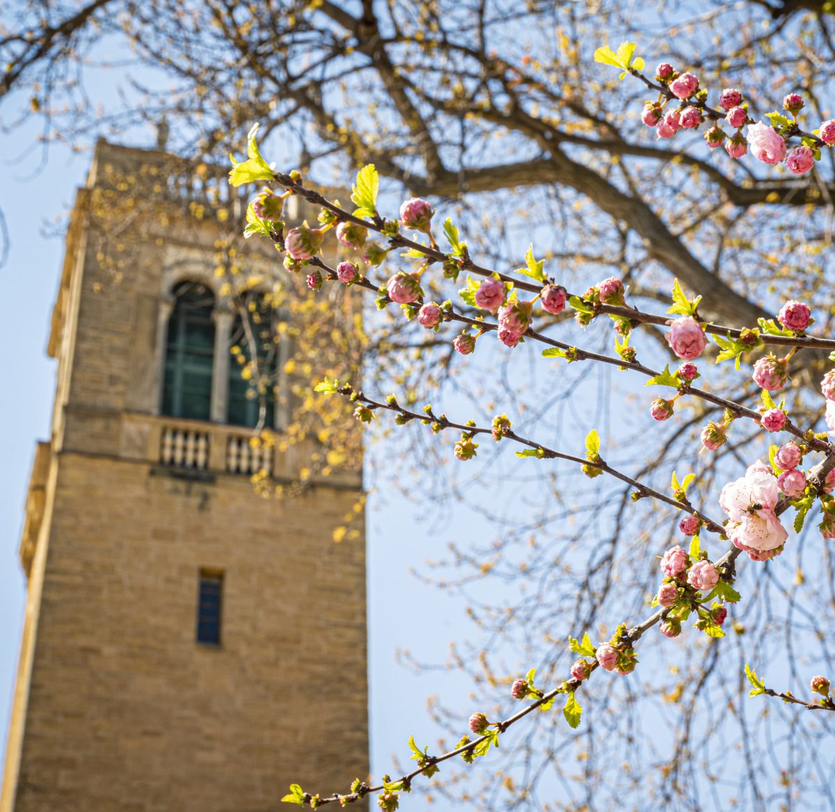 Spring break tips to stay safe, well, and have fun