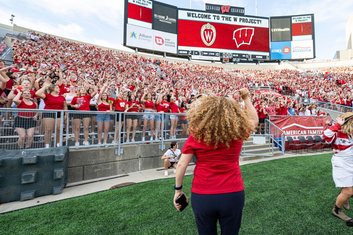 The W Project: A First Glimpse into Being a Badger