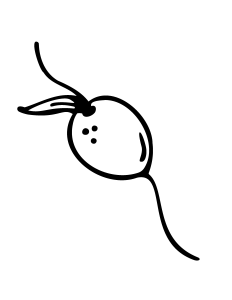 Olive sketch, Jumana Tanner