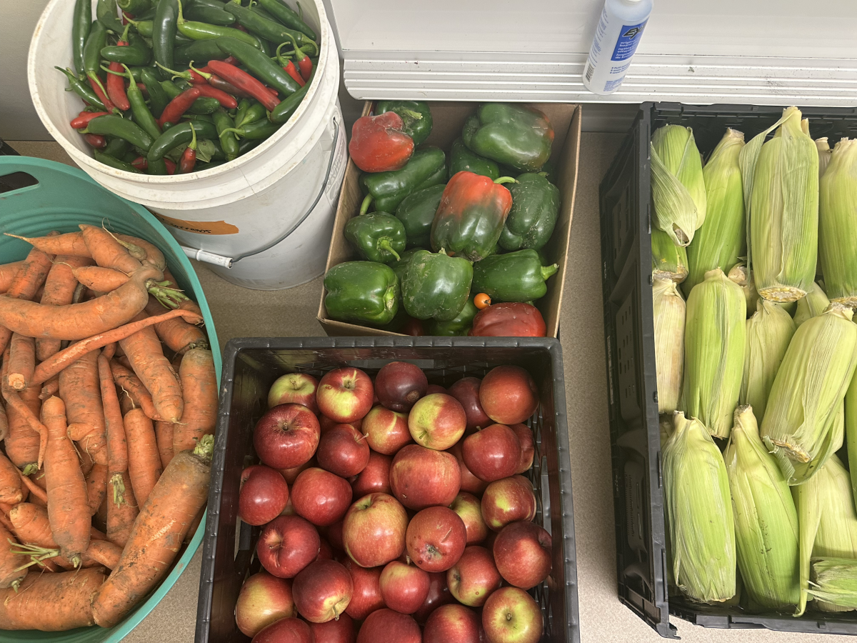 Food Access During FoodShare Suspension