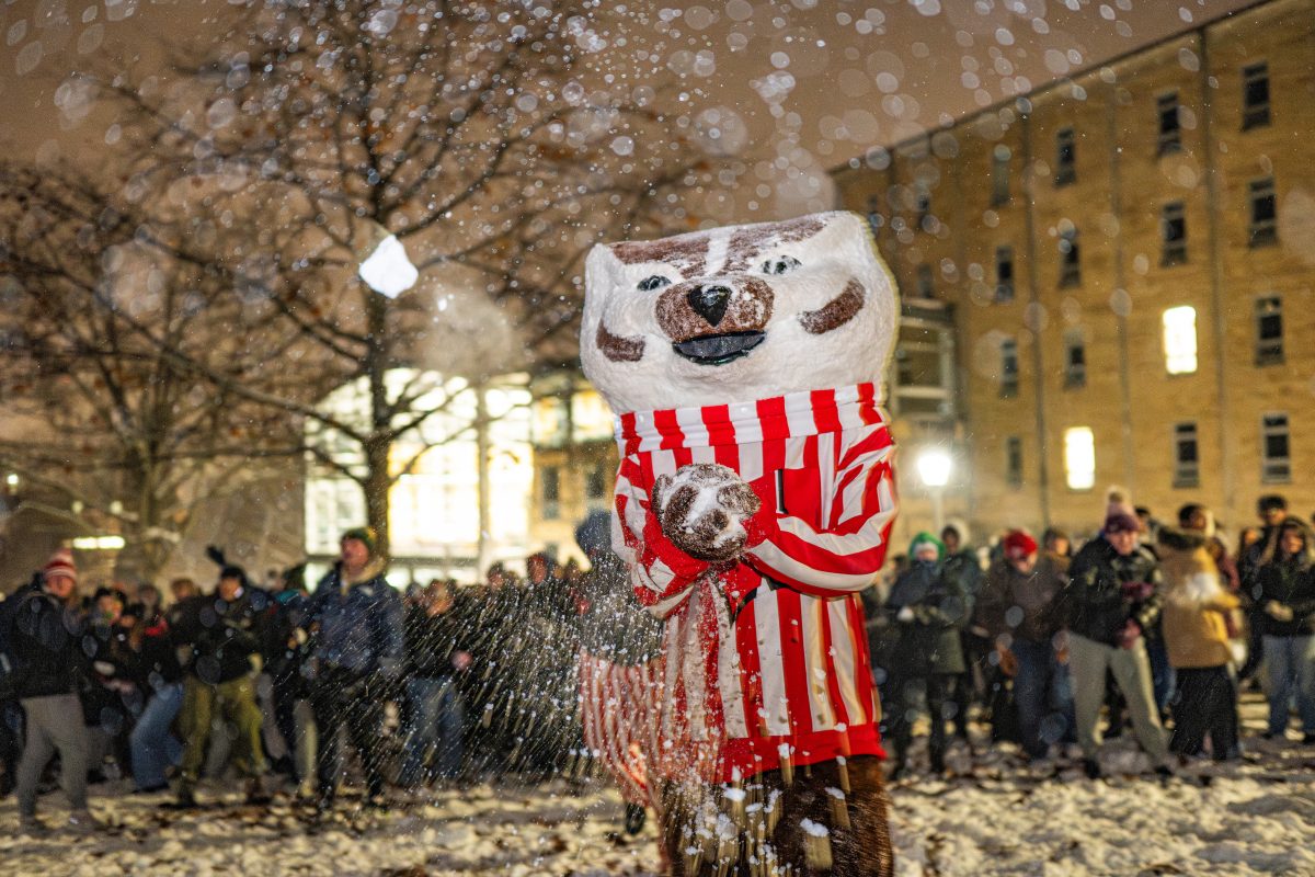 Wintering in Madison: Resources and Things to Do for Students Staying Put