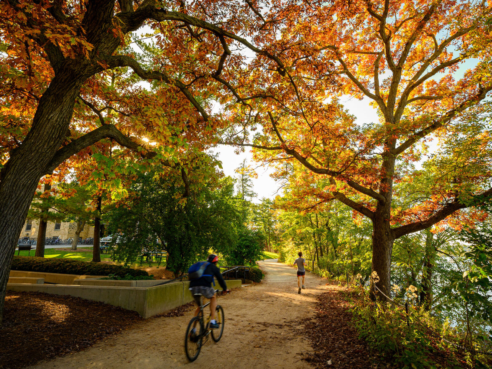 Bikers and joggers on the Lakeshore bike path lined with colorful autumn trees