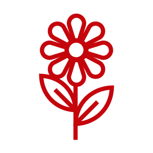 Rooted in Reciprocity: Celebrating Native November 2026 at UW–Madison